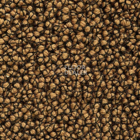 Ковролин Best Wool Nature Vivaldi I-AB Flavoured Ginger фото 1 | FLOORDEALER